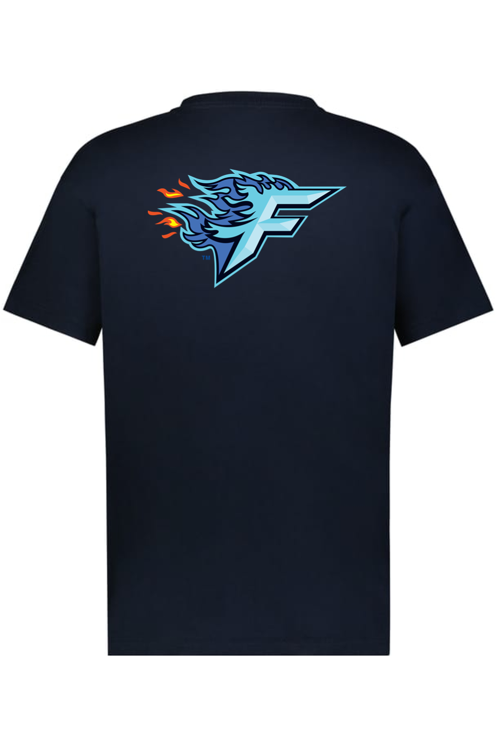 Florida Freeze - Holloway Sidney Heavyweight Oversize Tee (Front & Back)