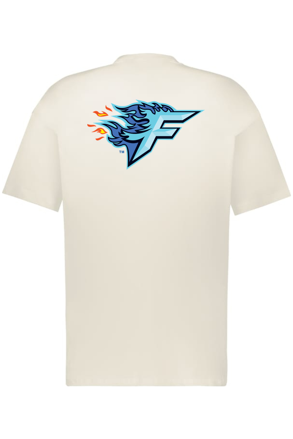 Florida Freeze - Holloway Sidney Heavyweight Oversize Tee (Front & Back)